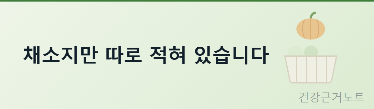 단호박-채소-맞나