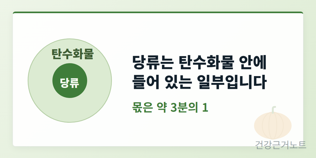 단호박-탄수화물-속-당분