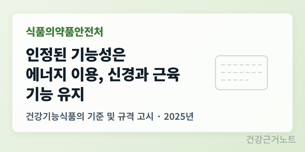 마그네슘-건강기능식품-인정-기능성