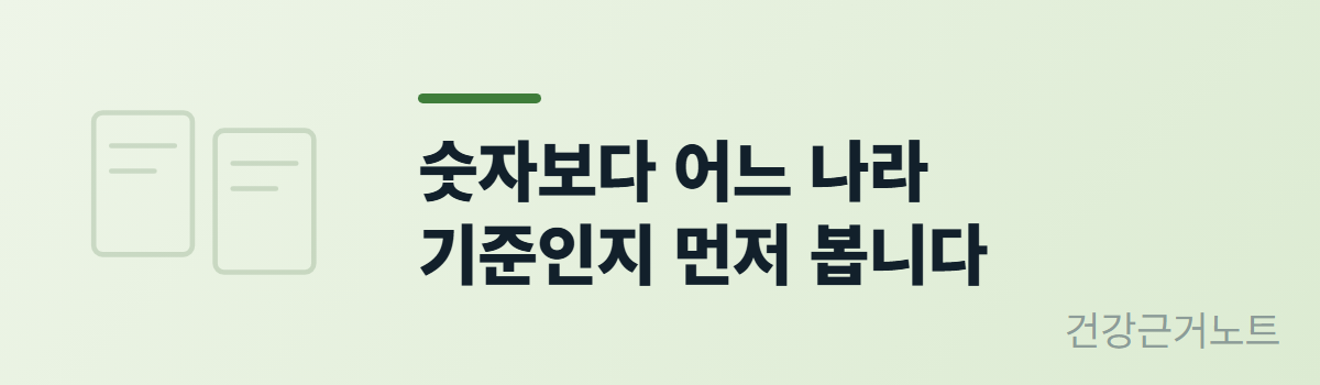 마그네슘-권장량-어느나라-기준확인