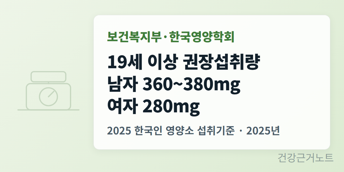 마그네슘-권장섭취량-한국기준-380mg
