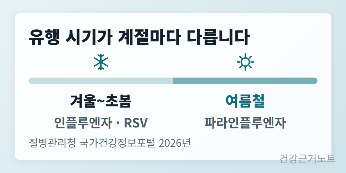 여름철-파라인플루엔자-유행시기