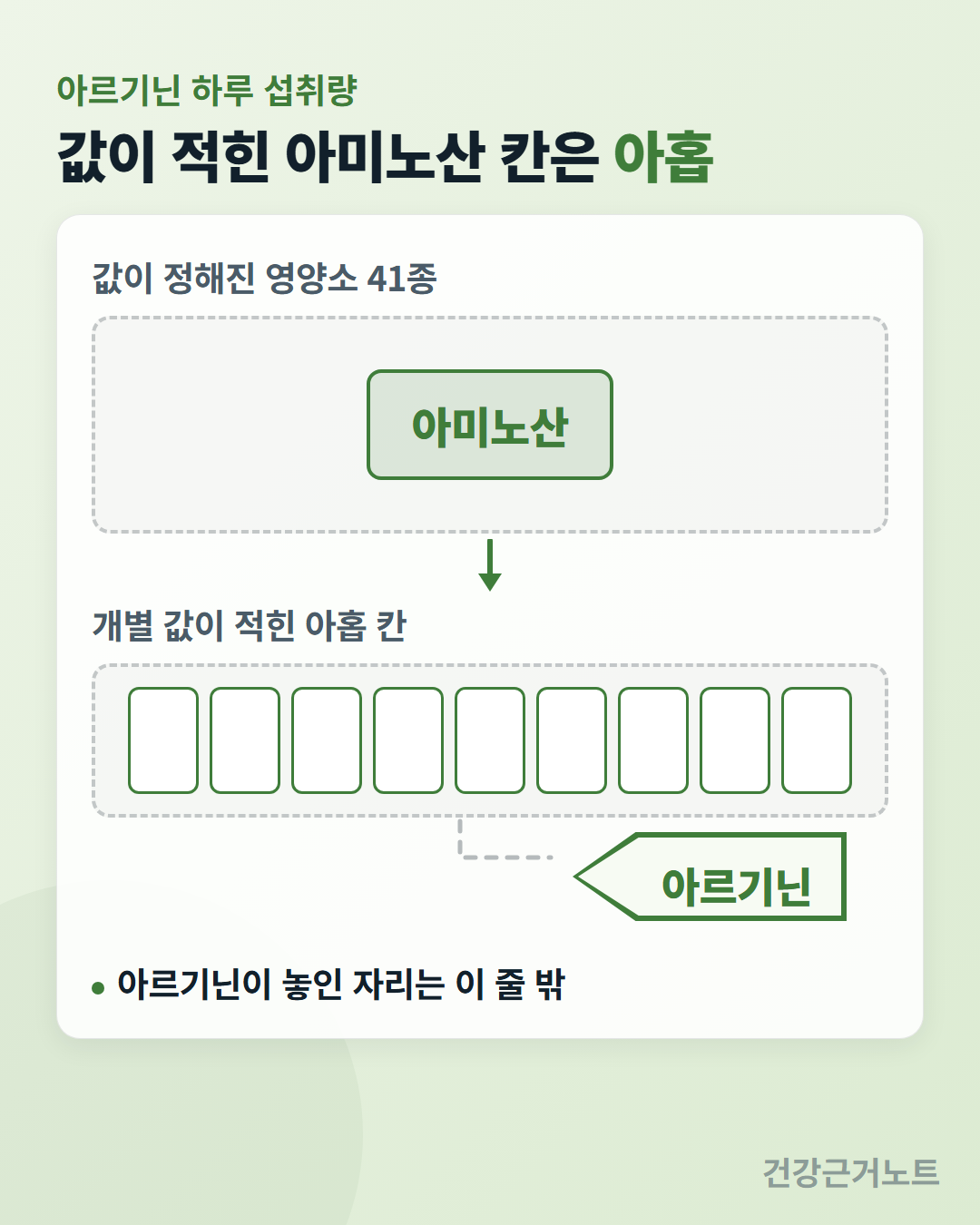아르기닌 하루 섭취량 도식으로, 값이 정해진 영양소 41종 안에 아미노산 칸이 하나 있고 그 아래 개별 값이 적힌 아홉 칸이 한 줄로 늘어서 있으며 아르기닌 이름표는 그 줄 바깥에 놓여 있는 모습