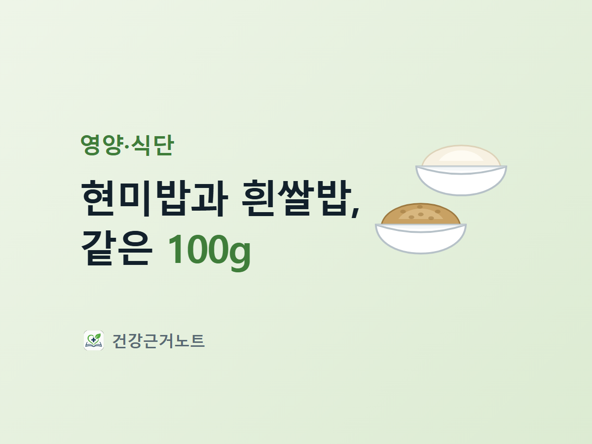 같은 크기 그릇 두 개에 흰쌀밥과 현미밥이 각각 담겨 앞뒤로 겹쳐 놓이고 같은 100g이라는 제목이 붙은 표지