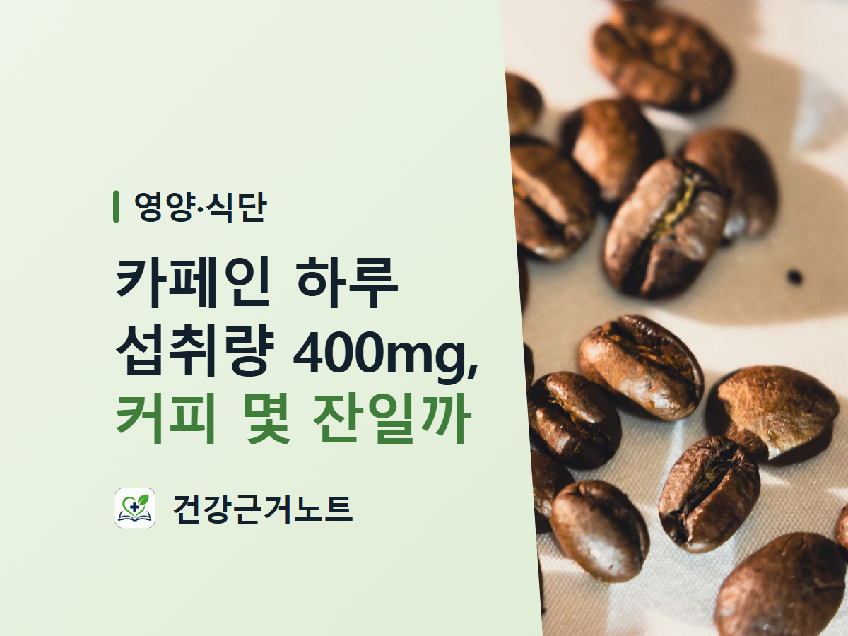 카페인 하루 섭취량 400mg, 커피 몇 잔일까라는 제목이 영양·식단 라벨과 함께 왼쪽 연녹색 면에 놓이고, 오른쪽에는 볶은 커피 원두가 밝은 천 위에 흩어져 있는 표지