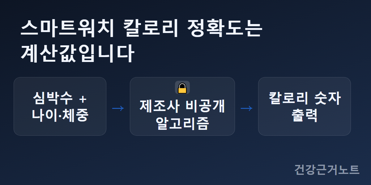 스마트워치가 칼로리를 계산하는 과정을 흐름도로 나타낸 이미지, 심박수와 나이·체중 같은 개인정보가 제조사 비공개 알고리즘을 거쳐 칼로리 숫자로 출력되는 구조를 보여주며 스마트워치 칼로리 정확도는 계산값이라는 점을 알려준다