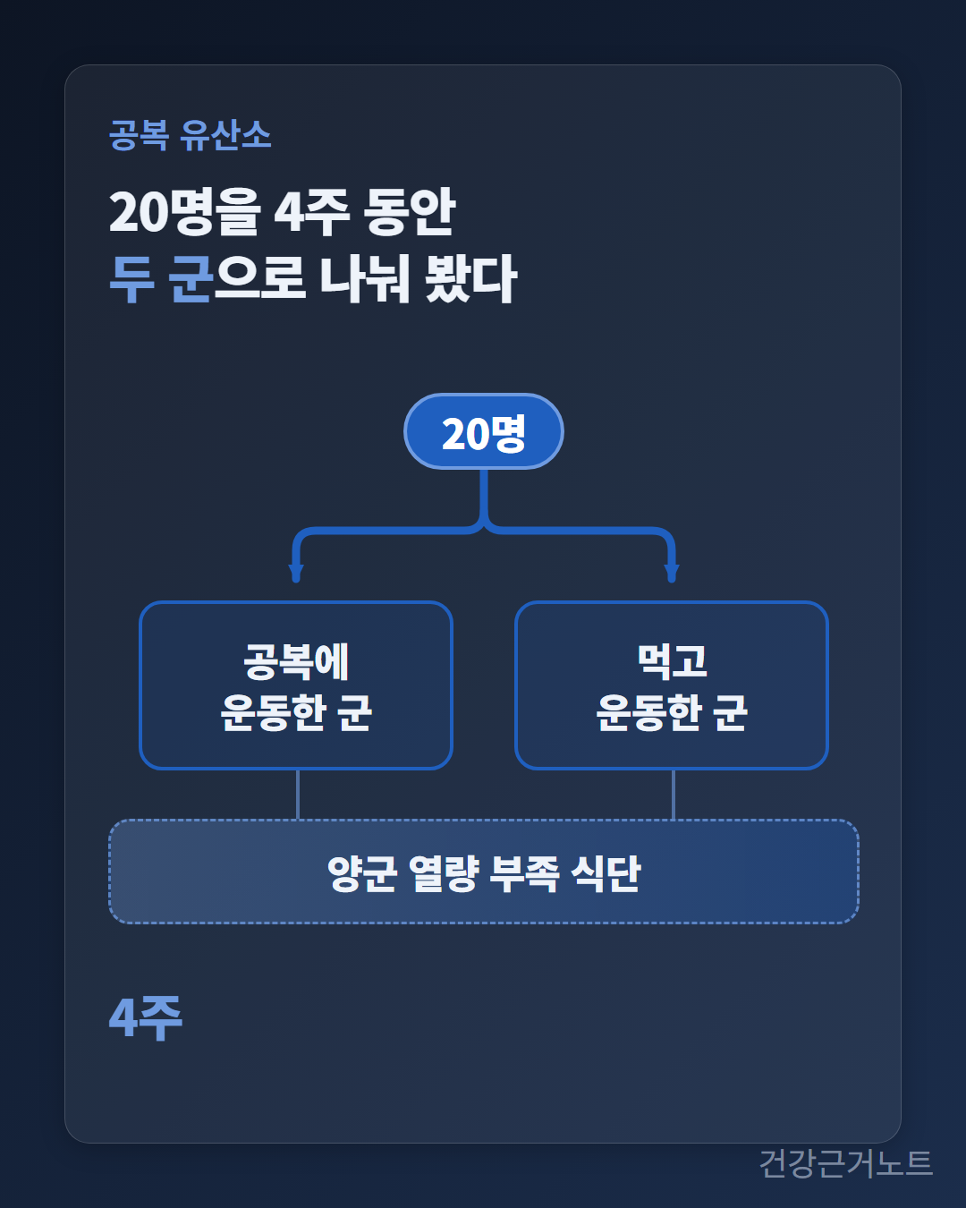 공복 유산소를 4주 동안 견준 연구에서 스무 명이 두 군으로 갈리고 두 군을 함께 지나가는 열량 부족 식단 띠가 놓인 세로 도식