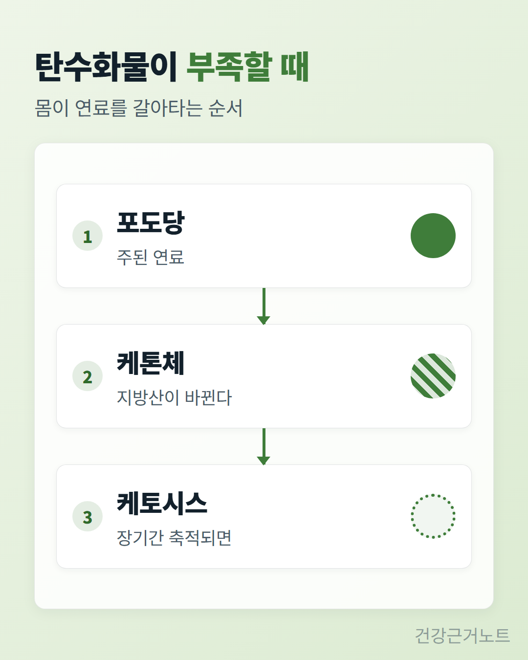 탄수화물이 부족할 때 주된 연료인 포도당에서 지방산이 케톤체로 바뀌고 장기간 축적되면 케토시스로 이어지는 세 칸짜리 세로 흐름 도식