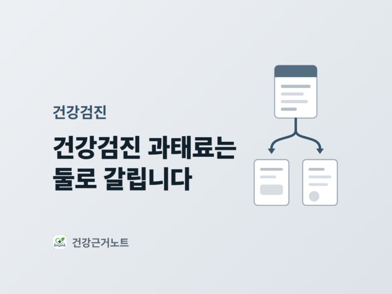 건강검진 과태료는 둘로 갈립니다라는 제목과, 고지서 한 장에서 화살표가 두 갈래로 나뉘어 서로 다른 서류로 이어지는 표지