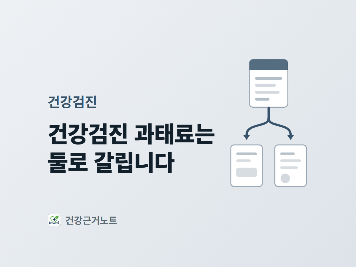건강검진 과태료는 둘로 갈립니다라는 제목과, 고지서 한 장에서 화살표가 두 갈래로 나뉘어 서로 다른 서류로 이어지는 표지