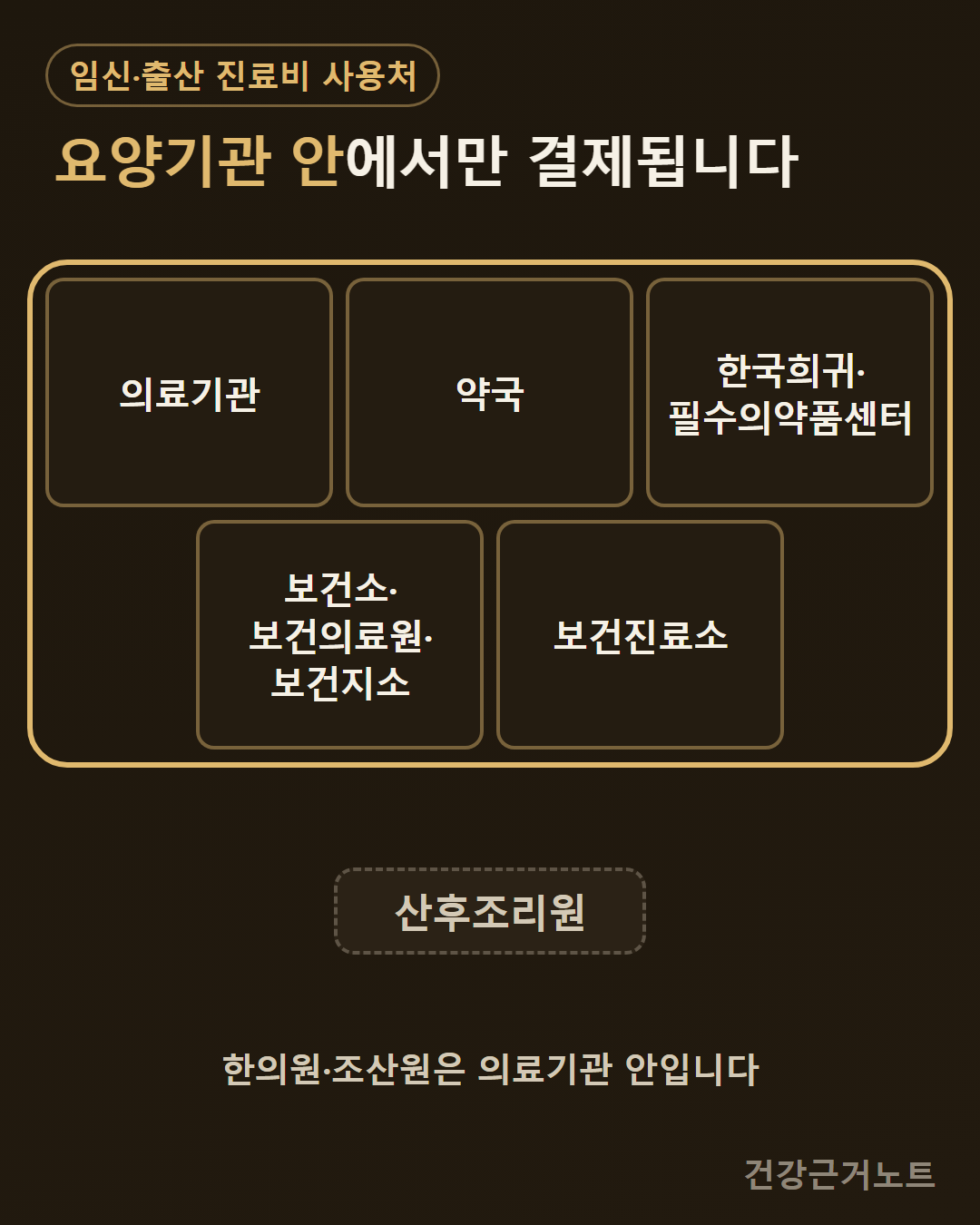 임신·출산 진료비 사용처로 의료기관과 약국, 한국희귀·필수의약품센터, 보건소·보건의료원·보건지소, 보건진료소 다섯 종류가 둥근 테두리 안쪽 카드에 놓이고 산후조리원만 테두리 바깥 점선 칩으로 놓인 세로 카드