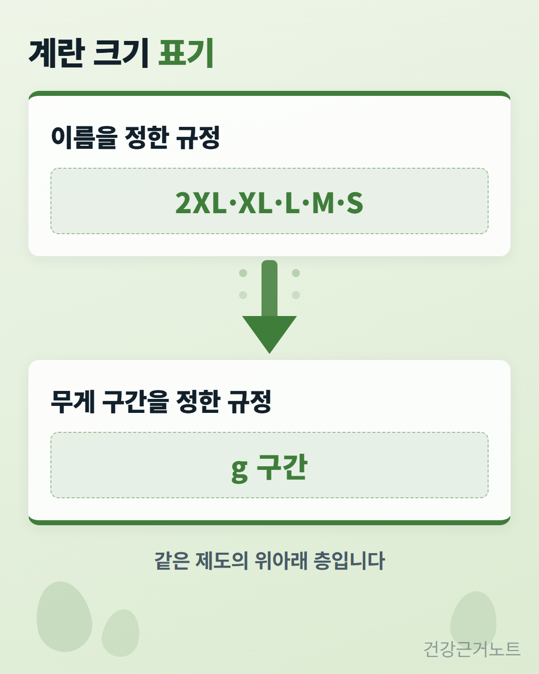계란 크기 표기라는 제목 아래 위 상자에는 이름을 정한 규정과 2XL·XL·L·M·S가 들어 있고, 굵은 아래 화살표 끝의 상자에는 무게 구간을 정한 규정과 g 구간이 들어 있으며 맨 아래에 같은 제도의 위아래 층입니다라고 적힌 도식