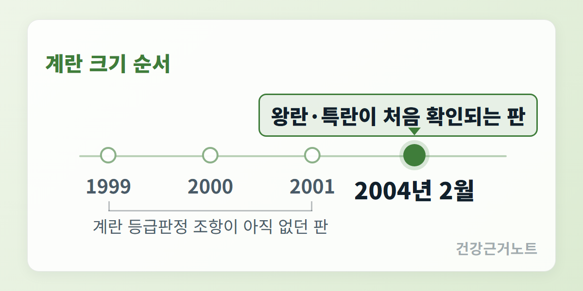 계란 크기 순서라는 제목 아래 가로 연표가 1999, 2000, 2001 노드를 계란 등급판정 조항이 아직 없던 판이라는 묶음 라벨로 묶고, 오른쪽 끝 2004년 2월 노드에는 왕란·특란이 처음 확인되는 판이라는 말풍선 배지가 달려 있다