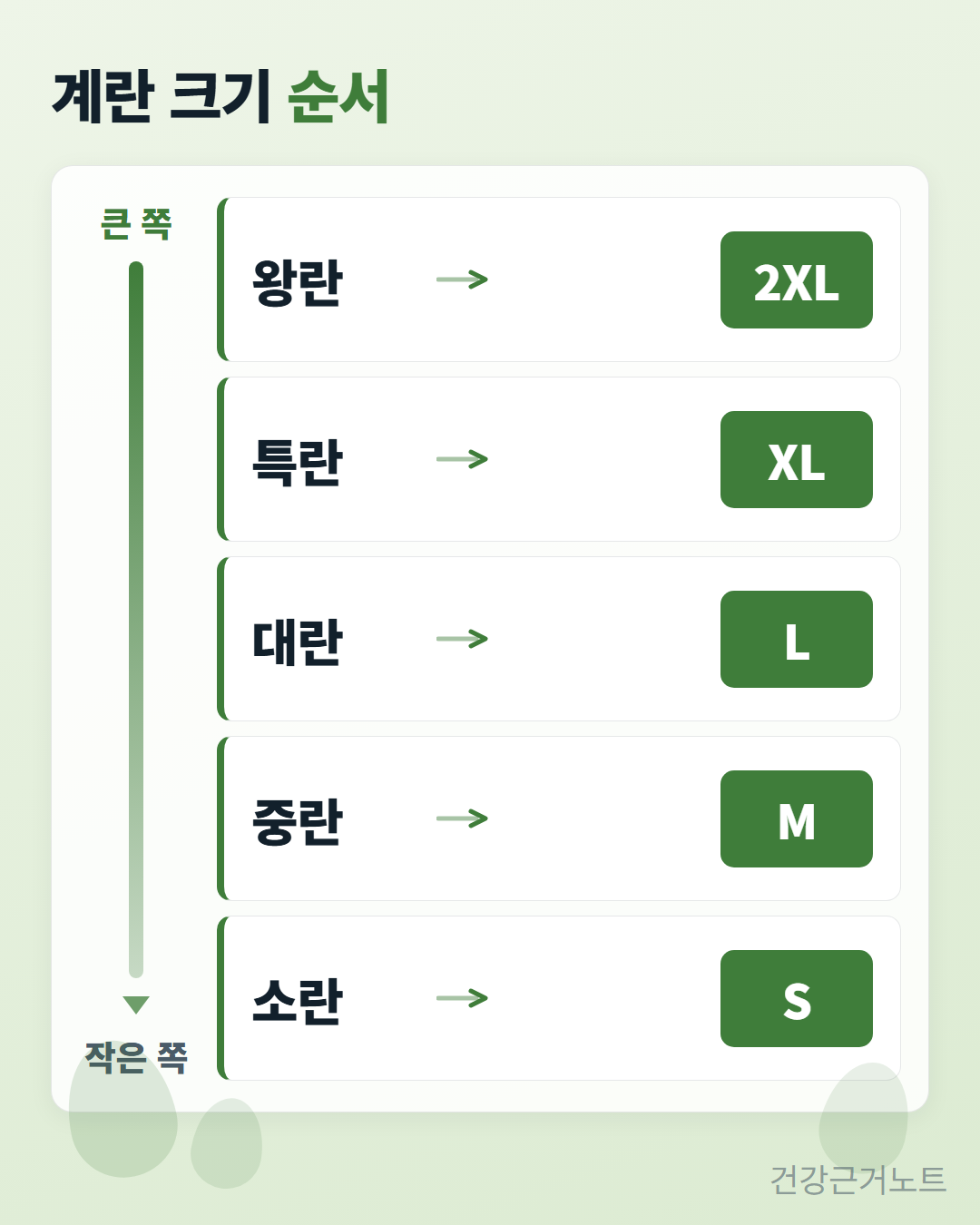 계란 크기 순서라는 제목 아래 같은 크기의 칸 다섯 개가 위아래로 쌓여 왕란은 2XL, 특란은 XL, 대란은 L, 중란은 M, 소란은 S로 화살표가 이어지고, 왼쪽 세로 막대가 위쪽을 큰 쪽, 아래쪽을 작은 쪽으로 표시한 도식
