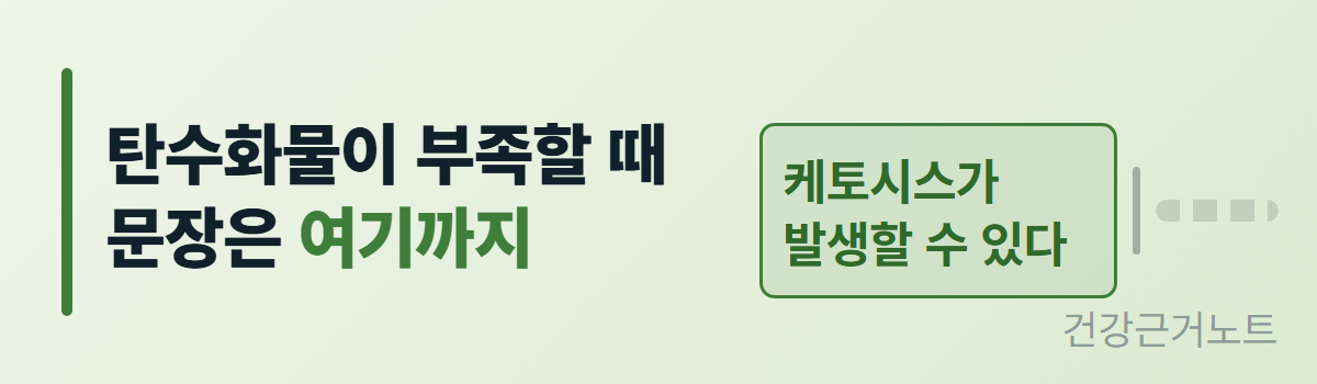 탄수화물이 부족할 때 문장은 여기까지라는 문구 옆에서 케토시스가 발생할 수 있다는 칸을 끝으로 문장 띠가 끊기고 그 뒤는 빈 트랙으로 남은 가로 배너