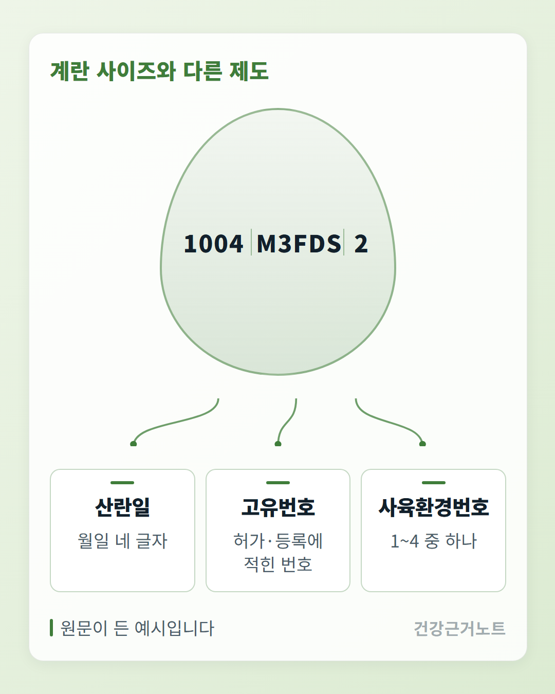 계란 사이즈와 다른 제도라는 제목 아래 계란 모양 도형 안의 1004M3FDS2라는 예시 문자열이 세 조각으로 갈라져 각각 산란일은 월일 네 글자, 고유번호는 허가·등록에 적힌 번호, 사육환경번호는 1~4 중 하나라는 카드로 이어지고, 맨 아래에 원문이 든 예시입니다라고 적힌 카드