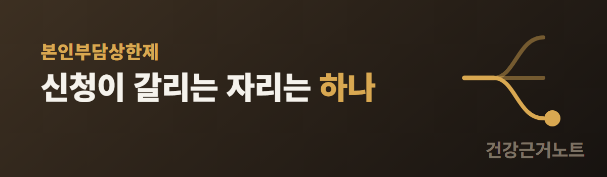 선 하나가 세 갈래로 나뉘고 그중 한 갈래 끝에만 점이 찍힌 아이콘 옆에, 본인부담상한제 — 신청이 갈리는 자리는 하나라고 적힌 가로 배너