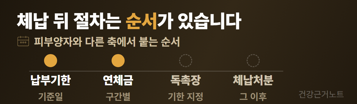 건강보험 피부양자_체납 연체금_독촉 절차
