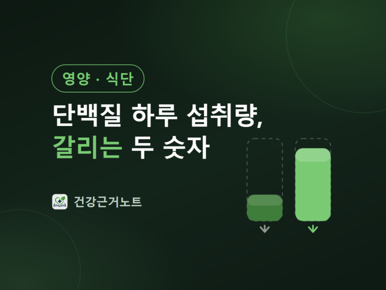 단백질 하루 섭취량에서 갈리는 두 숫자라는 제목 옆에, 점선 칸 두 개에 채워진 높이가 서로 다른 막대를 나란히 세운 영양·식단 표지