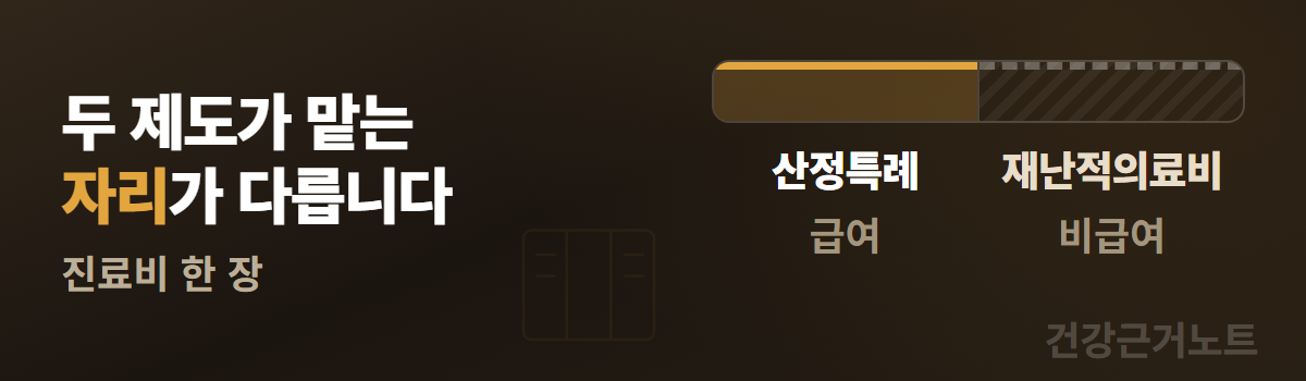두 제도가 맡는 자리가 다르다는 문구 옆에 진료비 막대를 왼쪽 산정특례 급여와 오른쪽 빗금 친 재난적의료비 비급여로 나눠 놓은 도입 배너