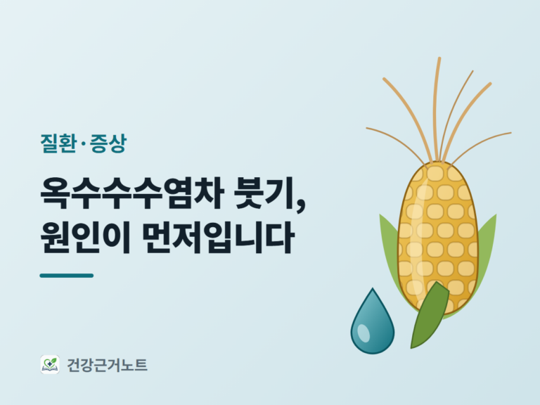 옥수수수염차와 붓기는 원인이 먼저라는 제목 옆에, 수염이 뻗은 옥수수 한 자루와 물방울 하나를 놓은 질환·증상 표지