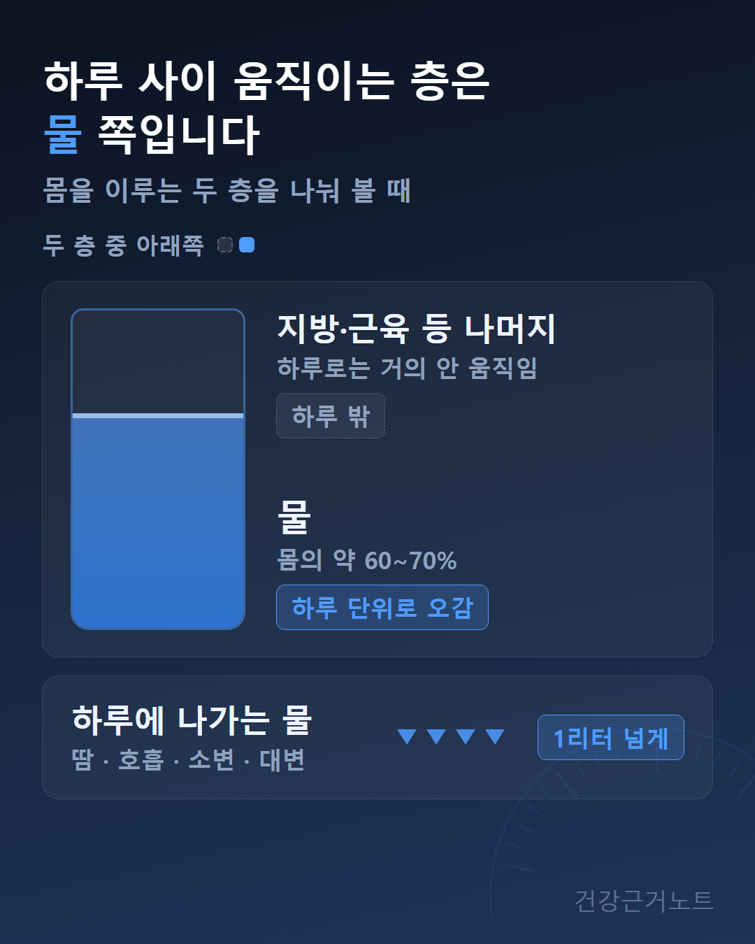 몸을 두 층으로 나눠 지방·근육은 하루로는 거의 안 움직이고 몸의 약 60~70%인 물만 하루 단위로 오간다고 표시하고, 하루에 땀·호흡·소변·대변으로 1리터 넘게 나간다고 덧붙인 도식