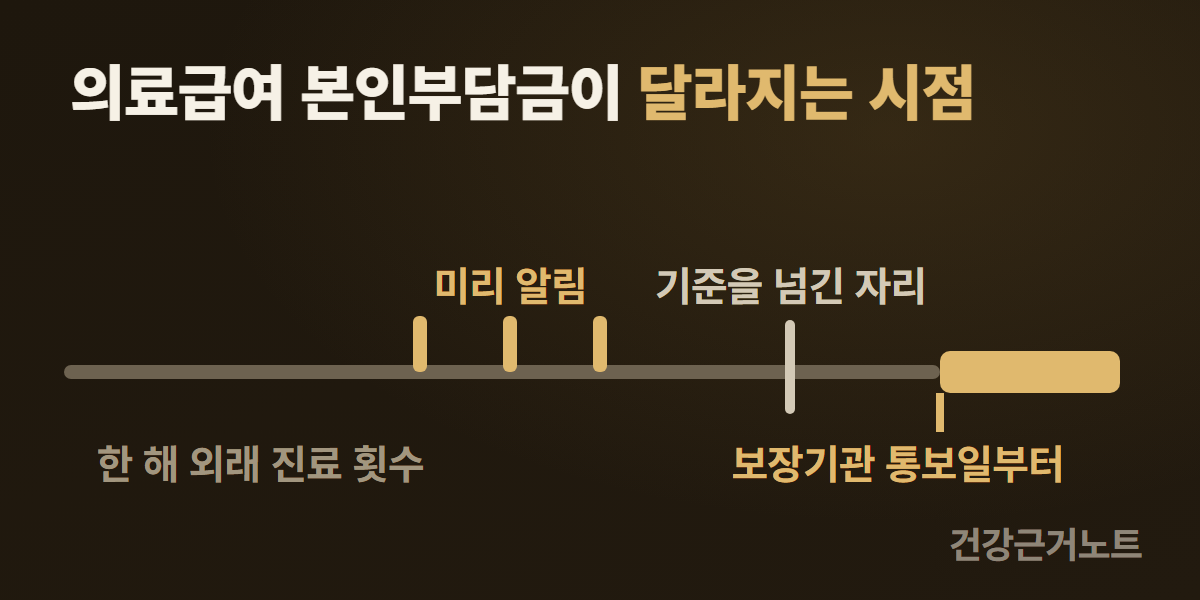 의료급여 외래 횟수 본인부담금 의료급여 본인부담금이 달라지는 시점을 한 해 외래 진료 횟수 가로 축으로 그리고, 축 가운데 부근에 같은 간격으로 선 미리 알림 표시 셋과 기준을 넘긴 자리를 지나 보장기관 통보일부터 축이 굵어지는 그래프